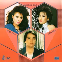 Làng Văn CD020 – Bước Tình Hồng (1989)