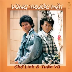 Làng Văn CD052 – Vùng Trước Mặt (1989)