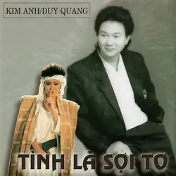 Làng Văn CD059 – Tinh Là Sợi Tơ (1990)