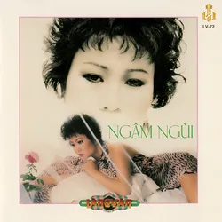 Làng Văn CD072 – Tình Khúc Phạm Duy: Ngậm Ngùi (1990)