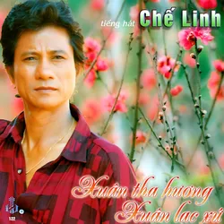 Làng Văn CD122 – Xuân Tha Hương Xuân Lạc Xứ (1993)