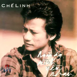 Làng Văn CD134 – Ngày Ấy Mình Yêu Nhau (1993)